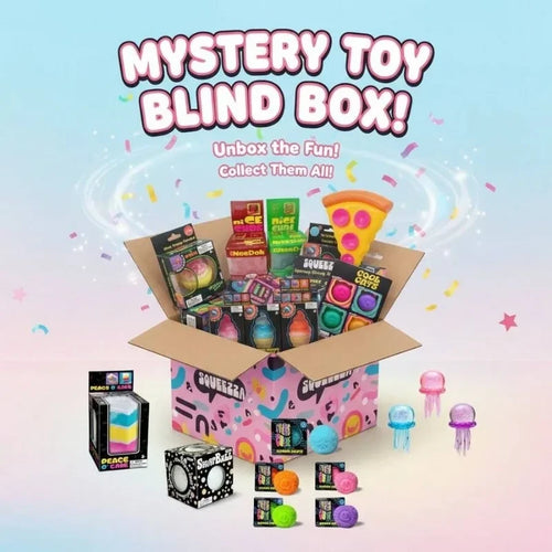 Mystery Toy Blind Box
